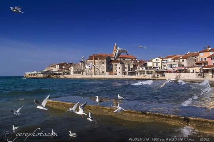 Apartment Ante Umag Ngoại thất bức ảnh